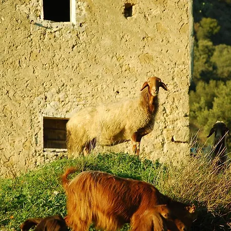 Experience Il Paesino 3*